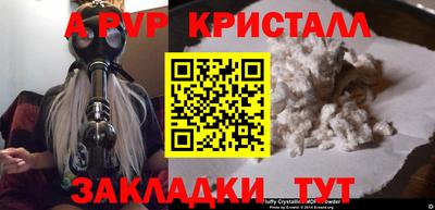 эйфоретик Тара
