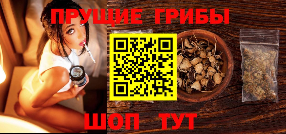 Галлюциногенные грибы Psilocybe Острогожск