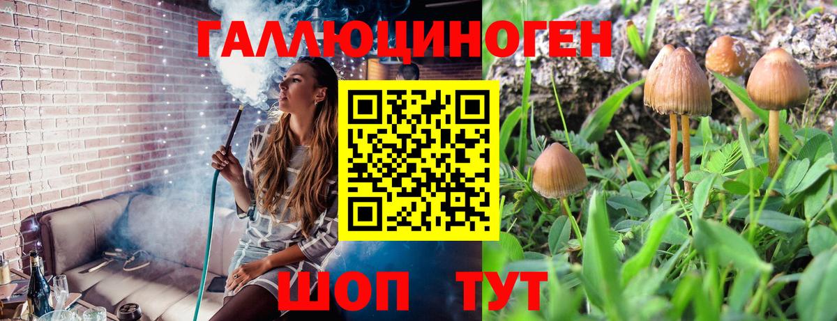 МАРИХУАНА Острогожск